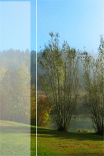 Landschaft